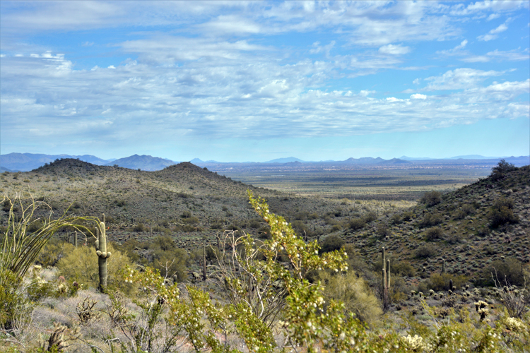 scenic view