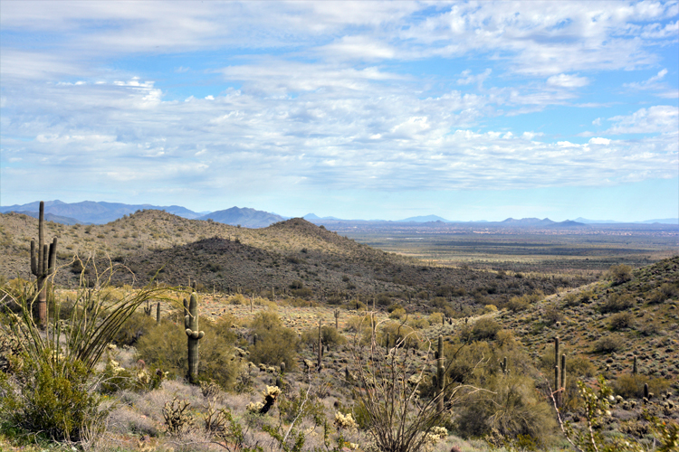 scenic view