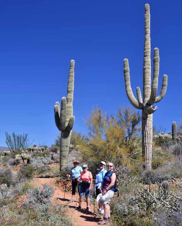 hikers