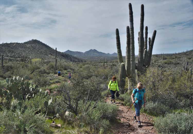 hikers