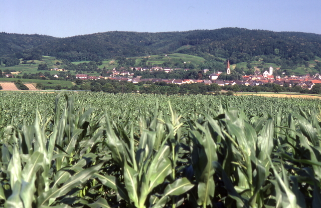 Buren overview