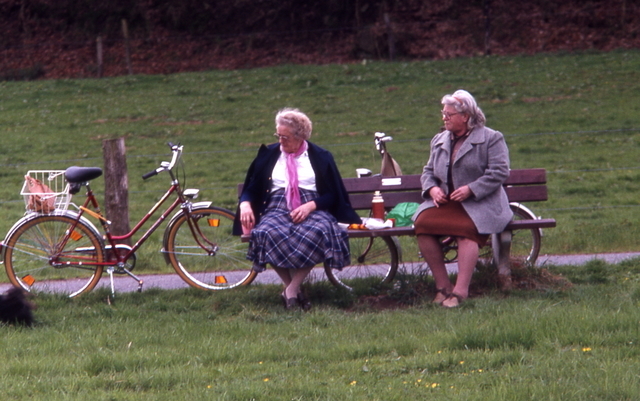 a picnic