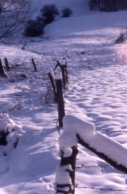 winter in buren