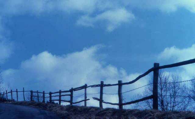 fence art