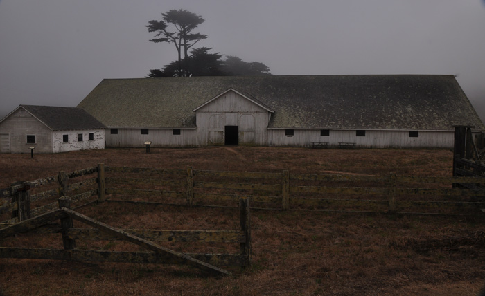 Pierce Point Ranch