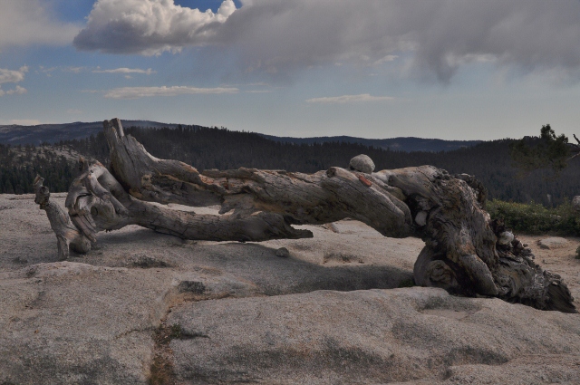Yosemite National Park