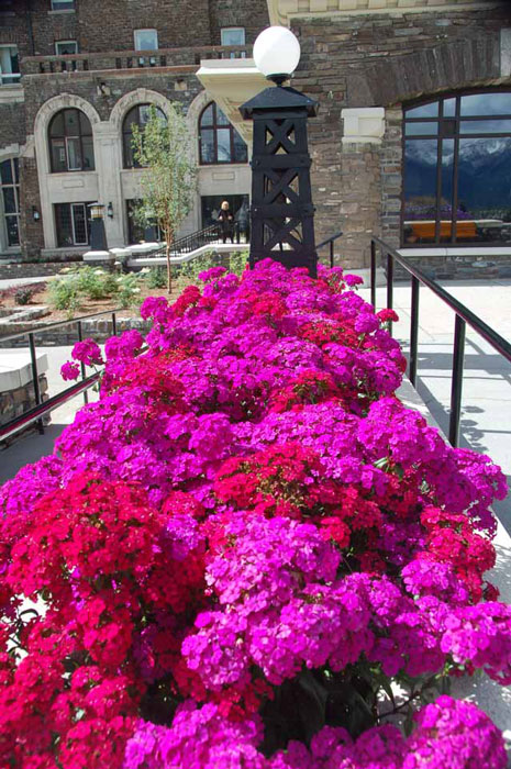 hotel terrace