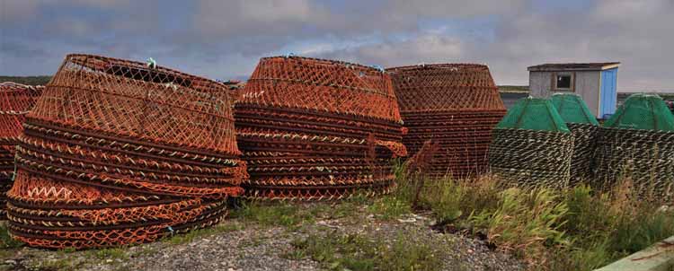 crab traps