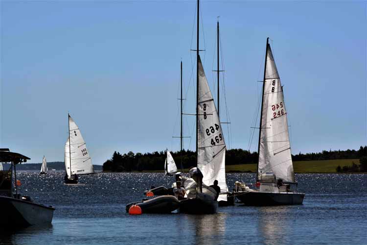 boats on water