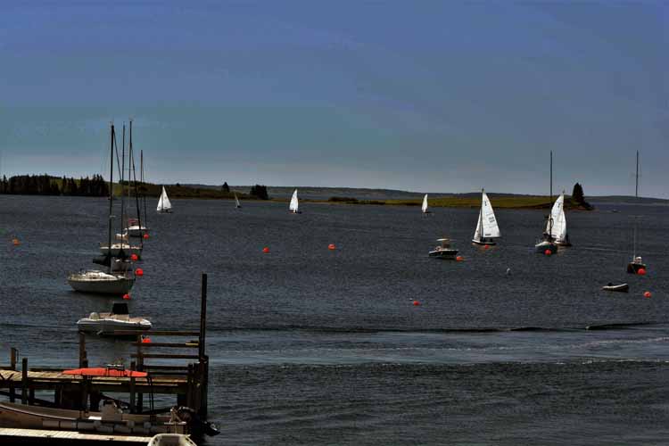 boats on water
