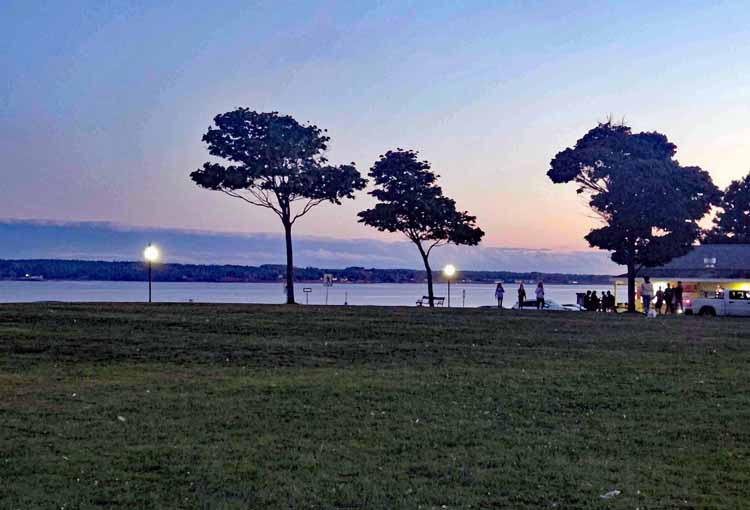 park setting