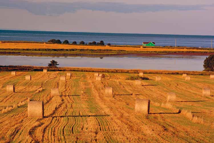 haybales and water