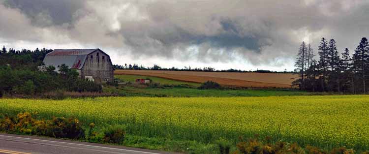 countryside