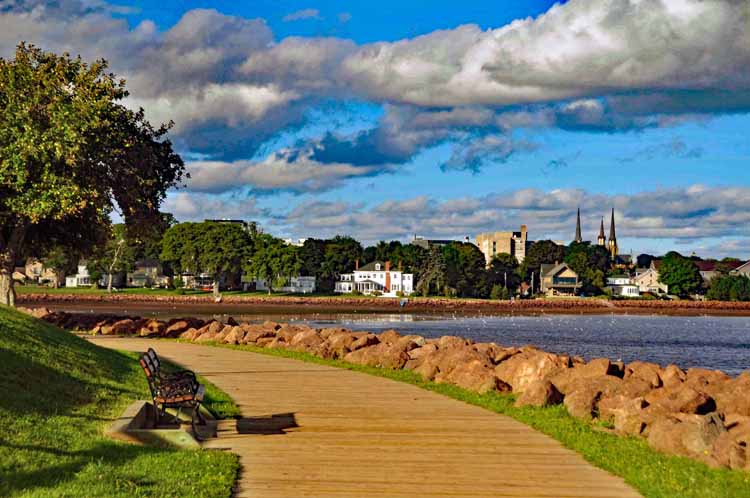 town skyline and bay