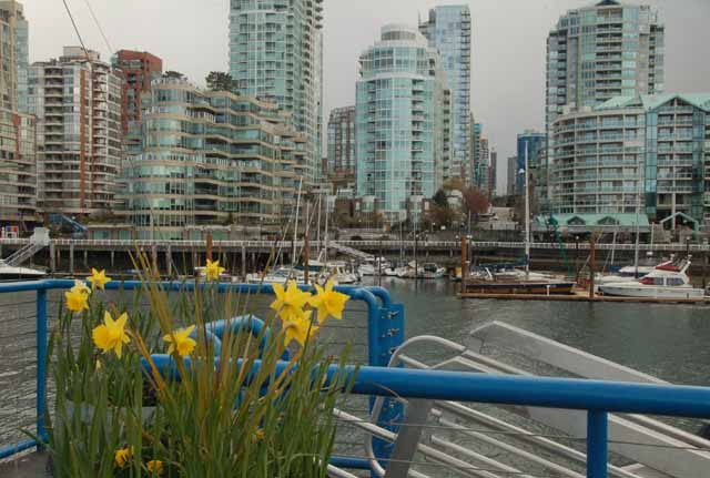 glass condos