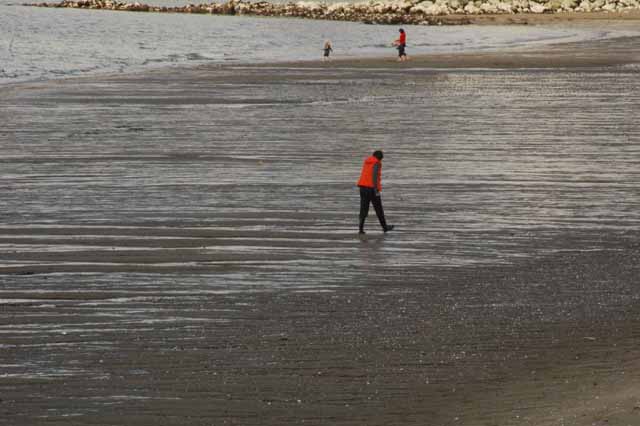English Bay at low tide