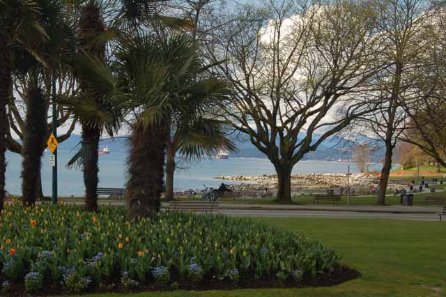 English Bay beach