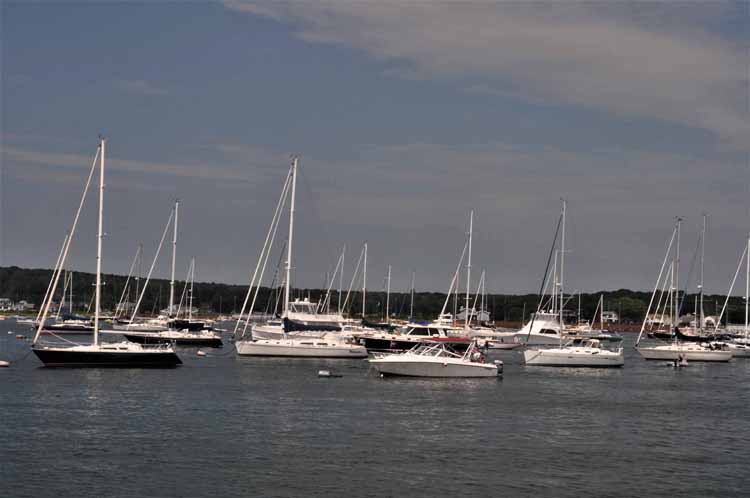 sailboats