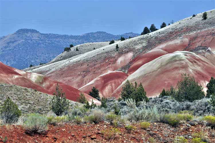fossil beds