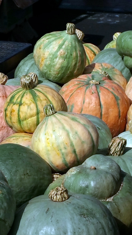 gourds at market