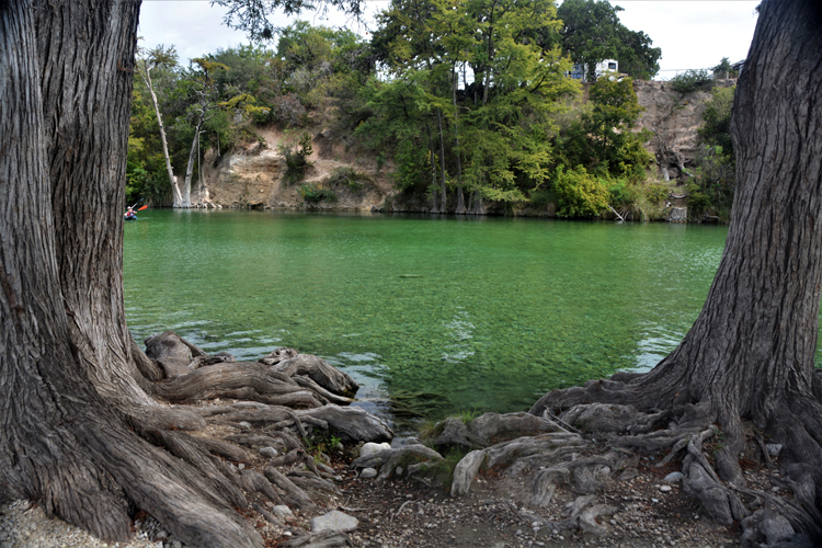 river and trees