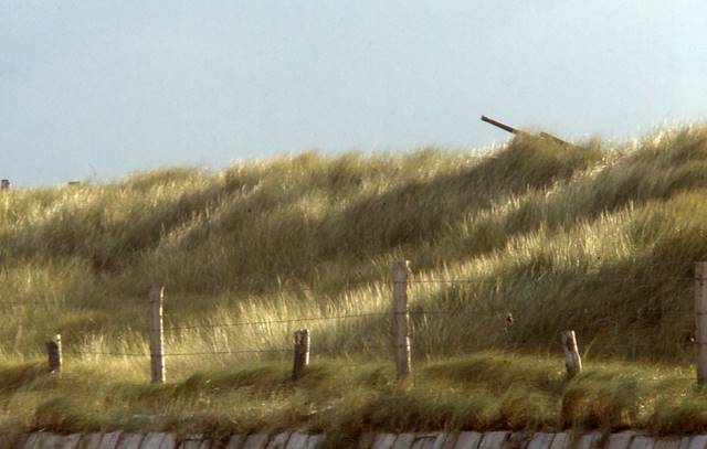 Utah Beach
