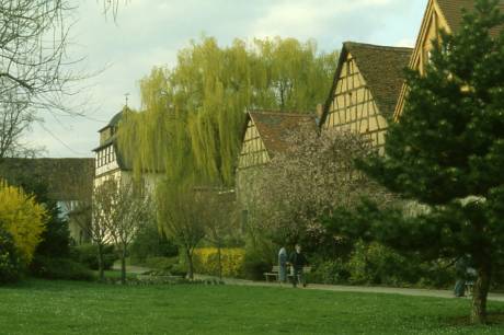 spring in Zwingenberg