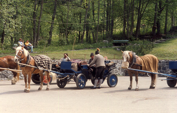 locals at the garmisch-partenkirchen gorge