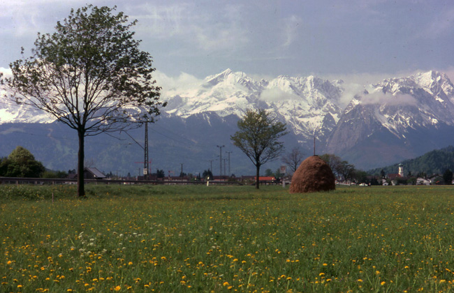 the Bavarian Alps