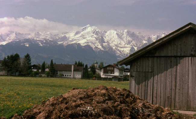 the Alps 