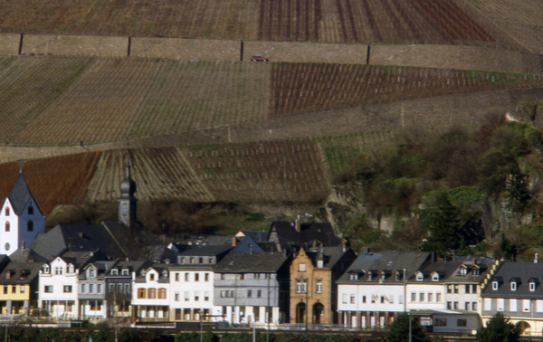 the Rhine River