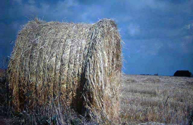 haybale