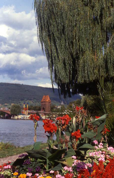 the bridge over the Main River