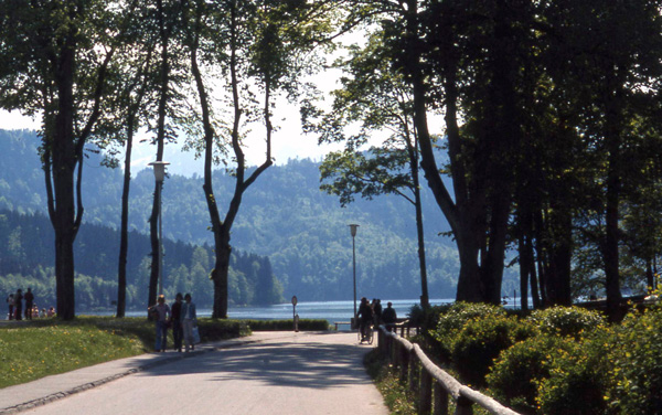 Neuschwanstein  Castle grounds