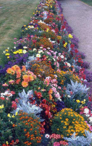 basilica garden