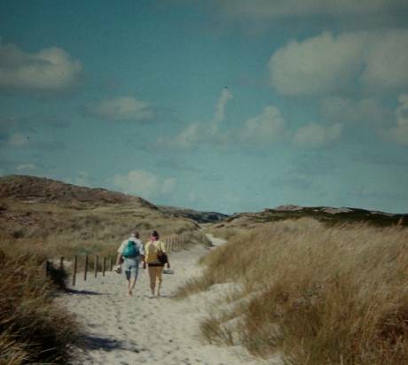 walking path through the dunes