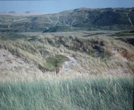 dune hills