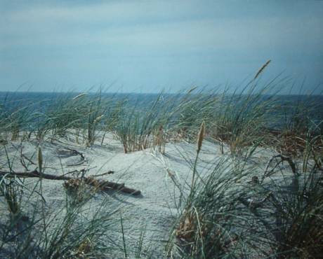 sand dunes