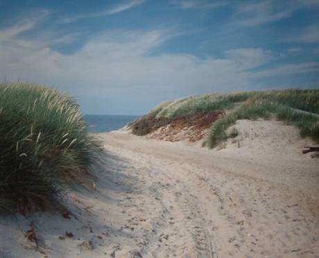 to the beach