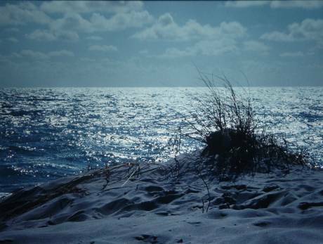 sand dunes