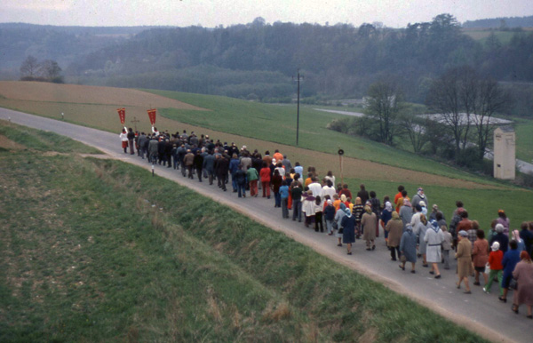 a funeral procession viewed from my window