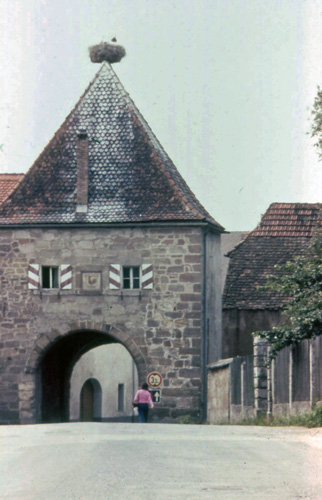 Hahnbach's stork nest