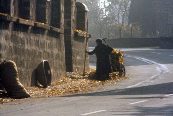 autumn chores