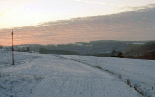 a winter view from my window