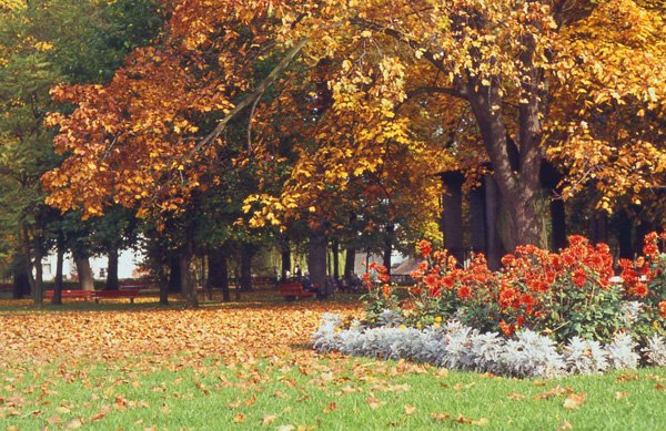 Amberg's city park