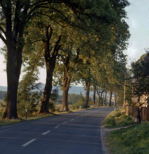 another route heading south toward Amberg