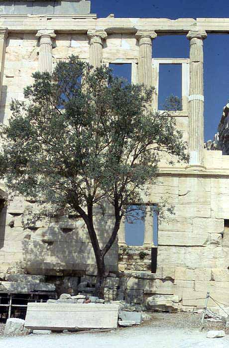 greek ruins