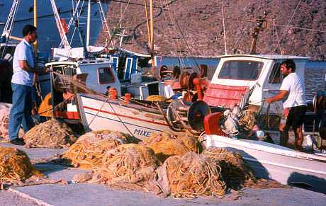 island scene
