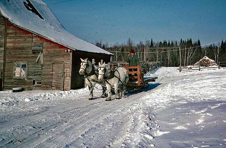 snow scene