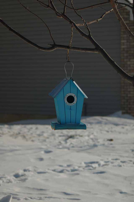 a cozy birdhouse